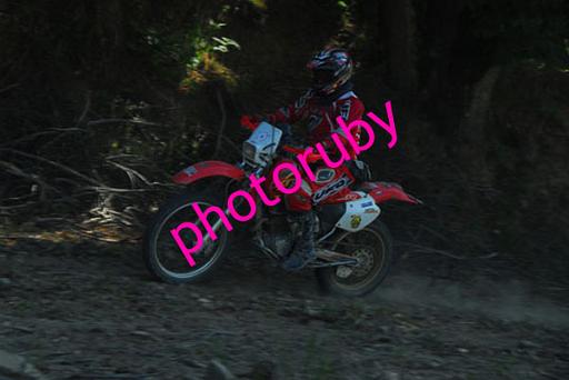 MOTO (74).JPG